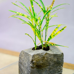 小物